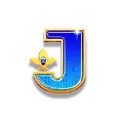 icon 9