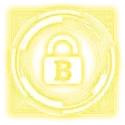 icon 12