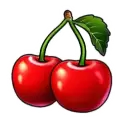 icon 5
