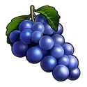 icon 4