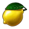 icon 6