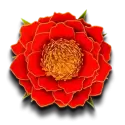 icon 11
