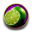 icon 4