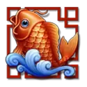 icon 5