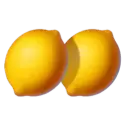 icon 5