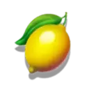 icon 4