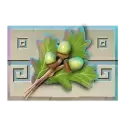 icon 5