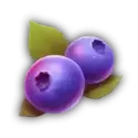 icon 6