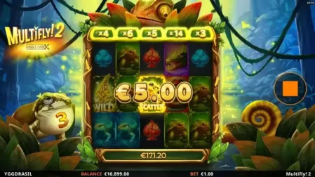 MultiFly 2 slot screenshot 4