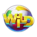 icon 9