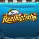 Reel Big Fish