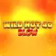 Wild Hot 40 Blow