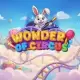 Wonder of Circus