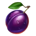 icon 5