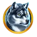 icon 4