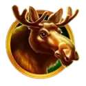 icon 5