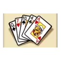 icon 4