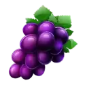 icon 6