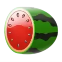 icon 5