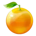 icon 7