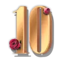icon 11