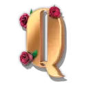 icon 9