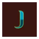 icon 10