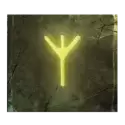 icon 10