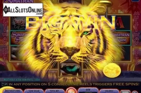 Screen 5. Sumatran Storm from IGT