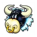 icon 4
