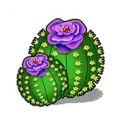 icon 9