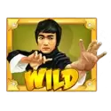icon 1