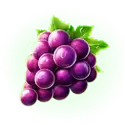icon 4