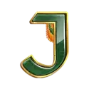 icon 10