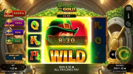 Greedy for Gold Hold And Win slot screenshot 5