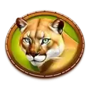 icon 4