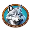 icon 5