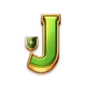 icon 9