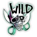 icon 14