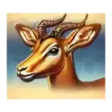 icon 5