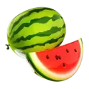 icon 4