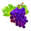 icon 3