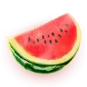 icon 4