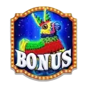 icon 12