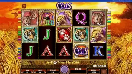 Cats slot screenshot 2