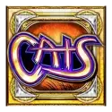 icon 10