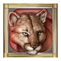 icon 5