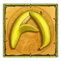 icon 5