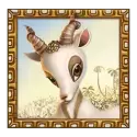 icon 3