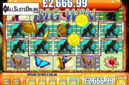 Big Win screen. Gorilla Chief2 from WMS
